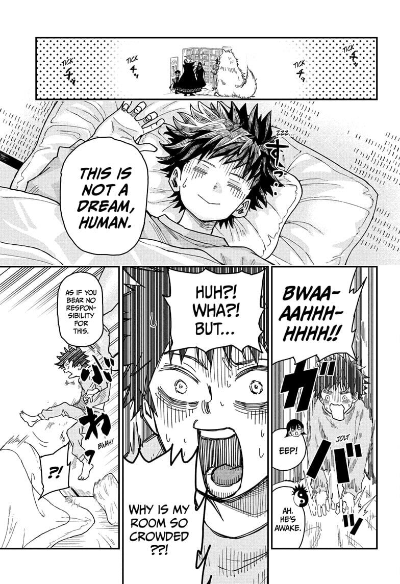 Roku's House of Oddities