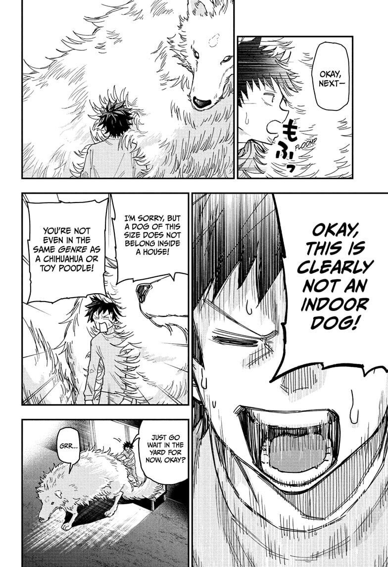 Roku's House of Oddities