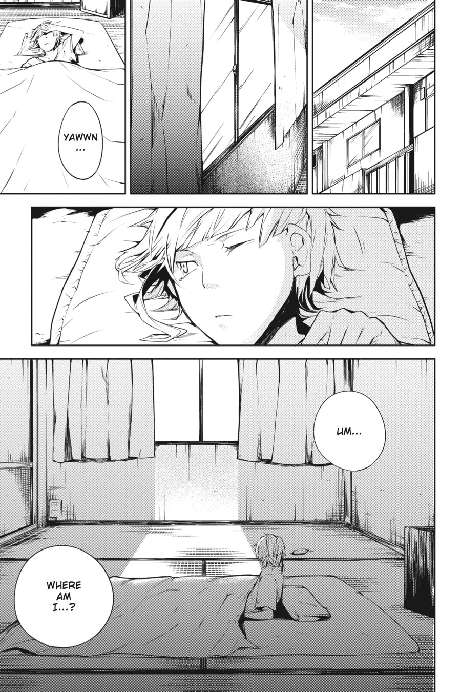 Bungo Stray Dogs