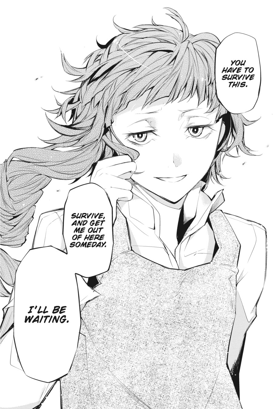 Bungo Stray Dogs