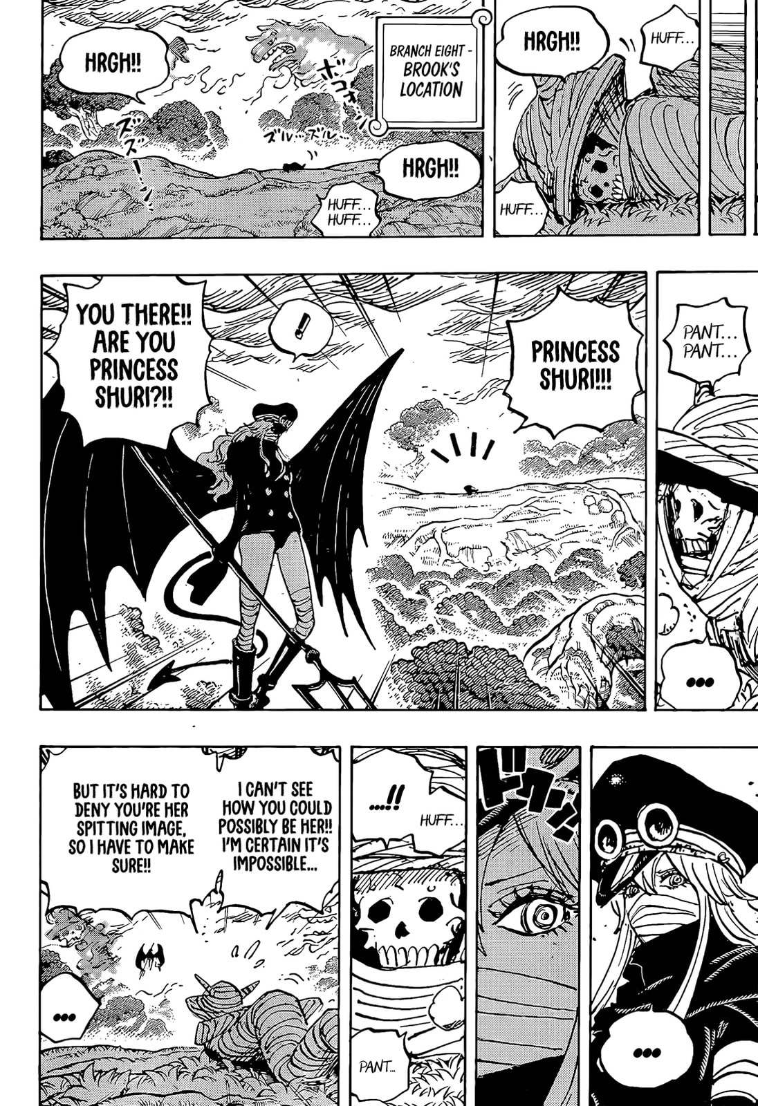 One Piece Manga