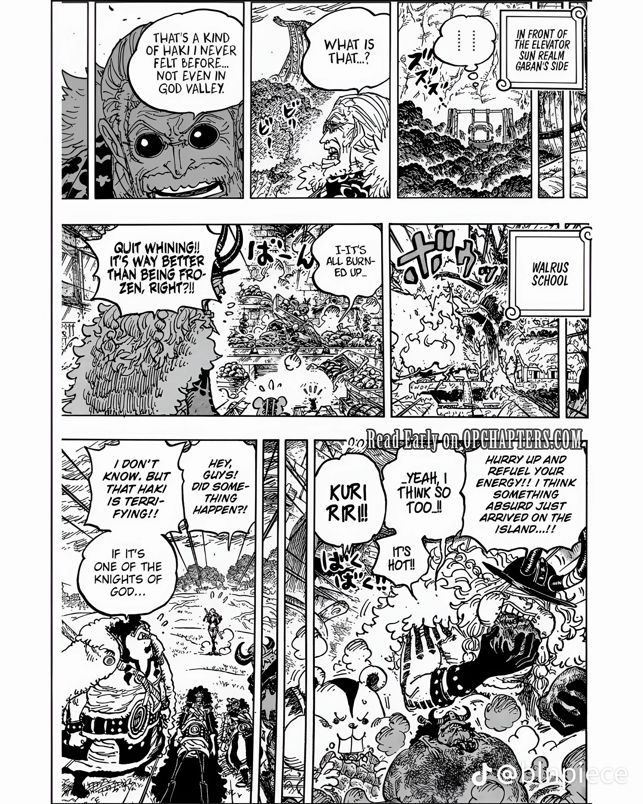 One Piece Manga