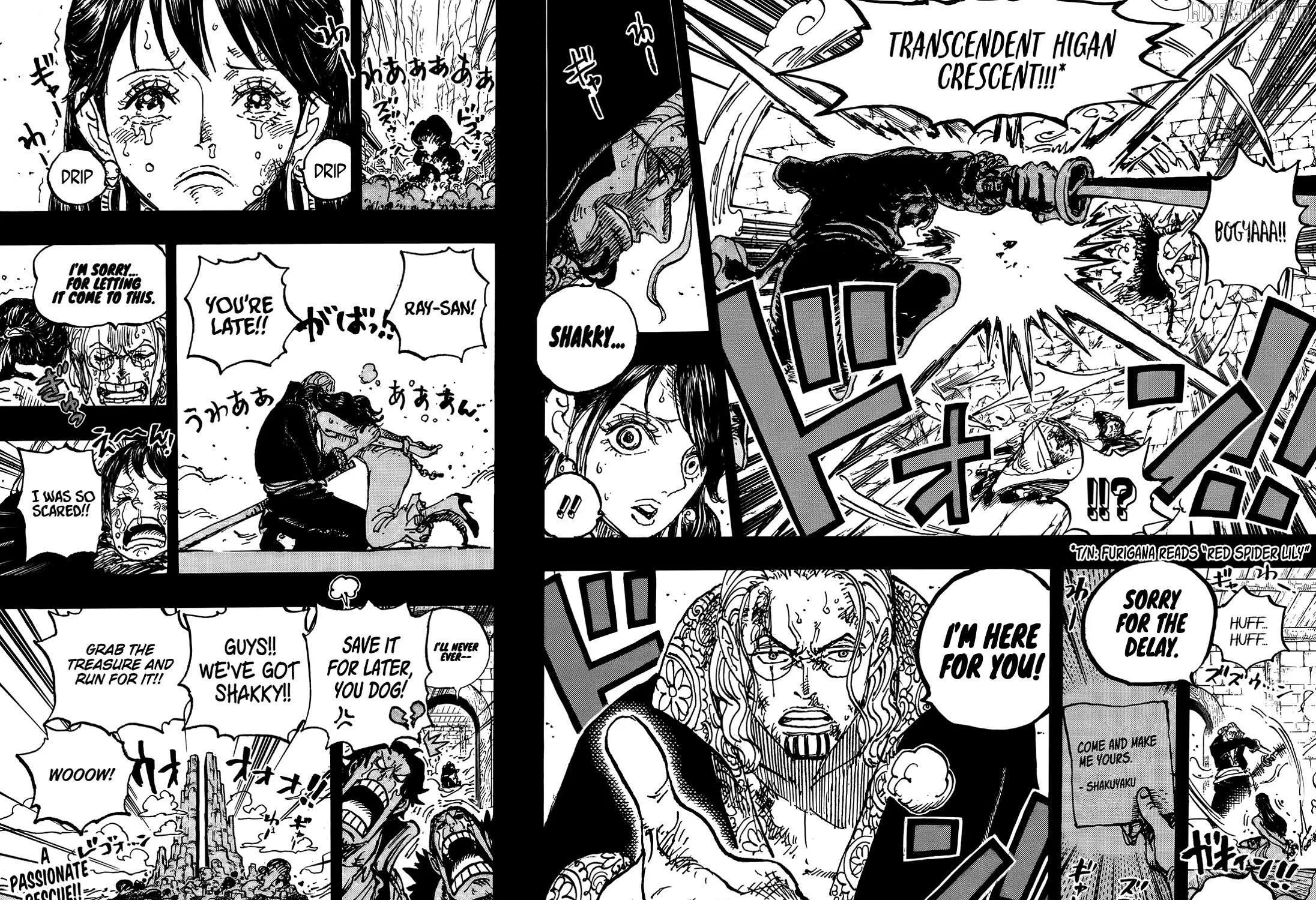 One Piece Manga