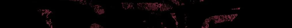 Bleach: Thousand-Year Blood War 