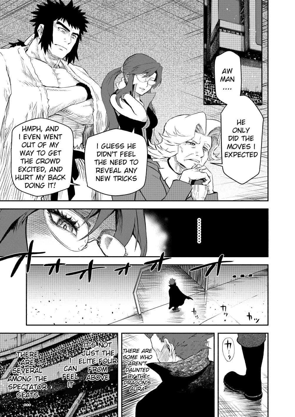 Pokemon - Festival of Champions (Doujinshi)