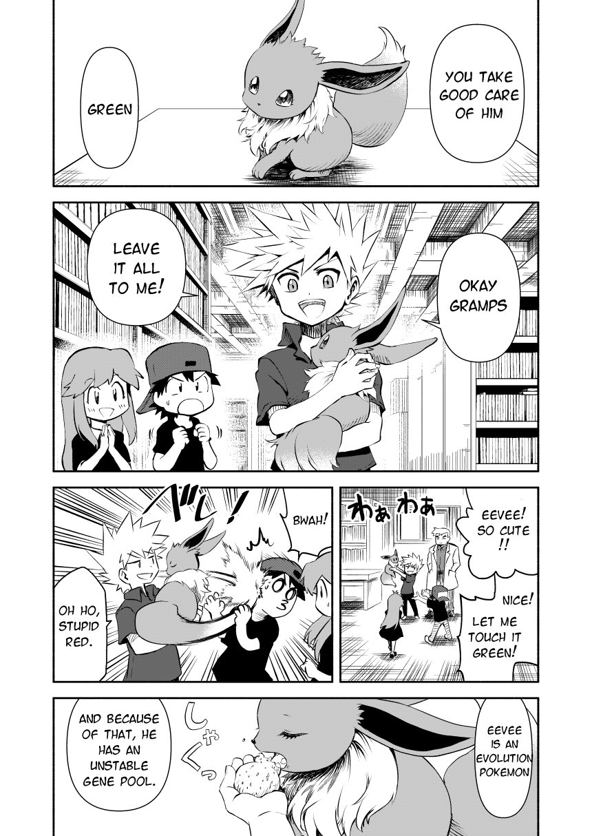 Pokemon - Festival of Champions (Doujinshi)