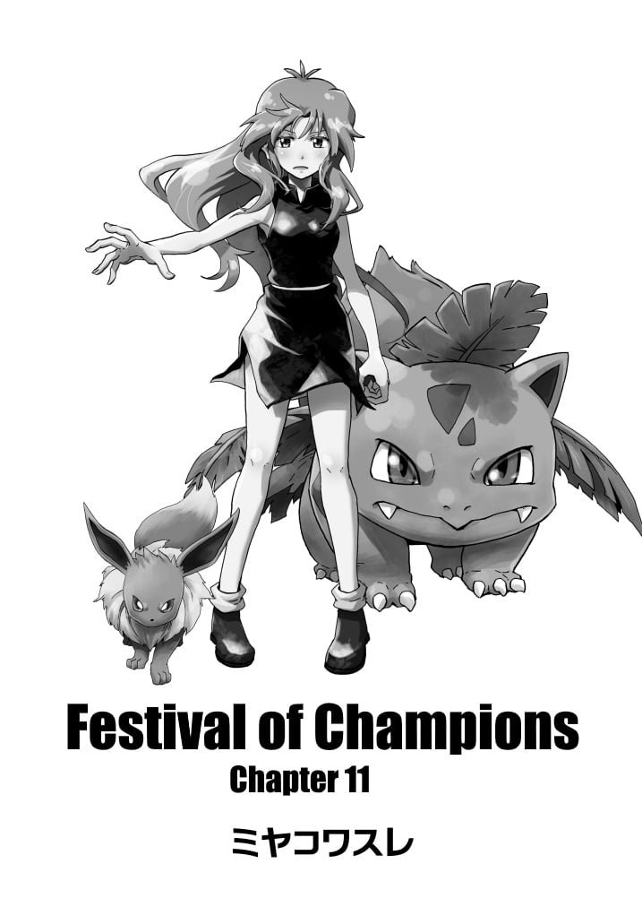 Pokemon - Festival of Champions (Doujinshi)