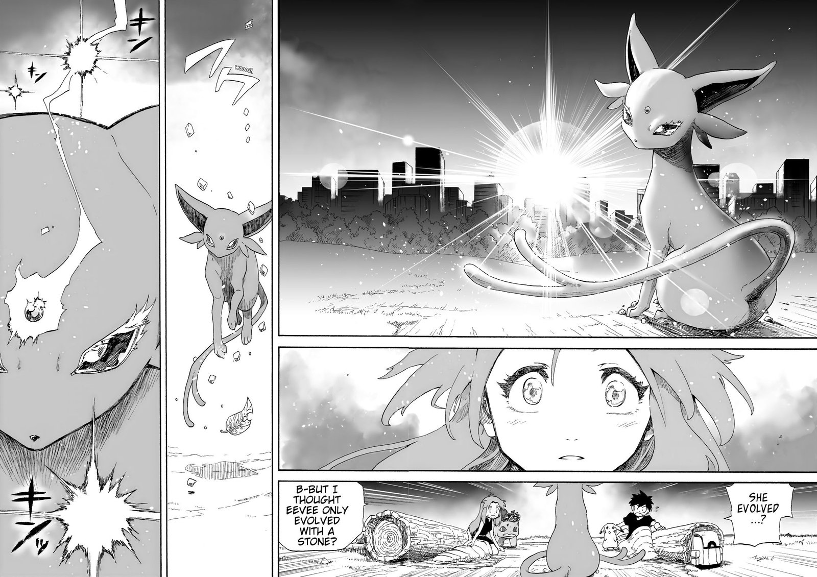 Pokemon - Festival of Champions (Doujinshi)