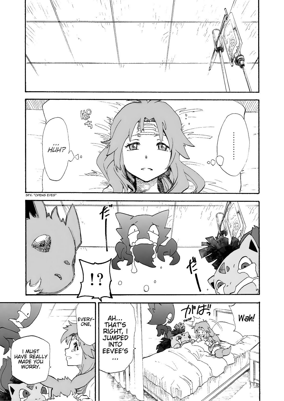 Pokemon - Festival of Champions (Doujinshi)