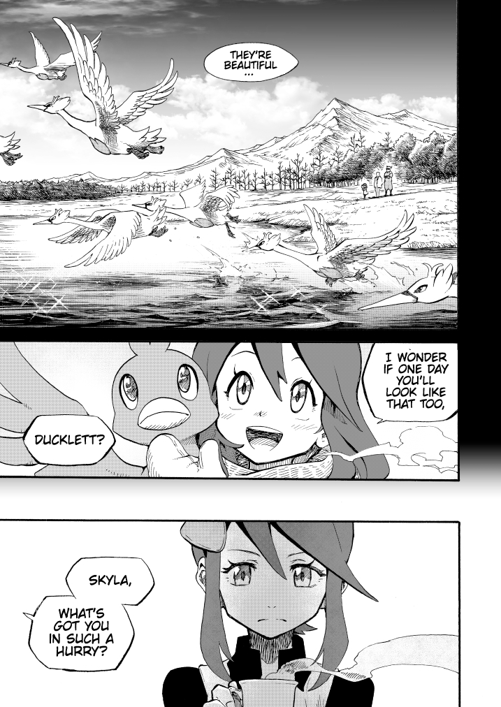 Pokemon - Festival of Champions (Doujinshi)