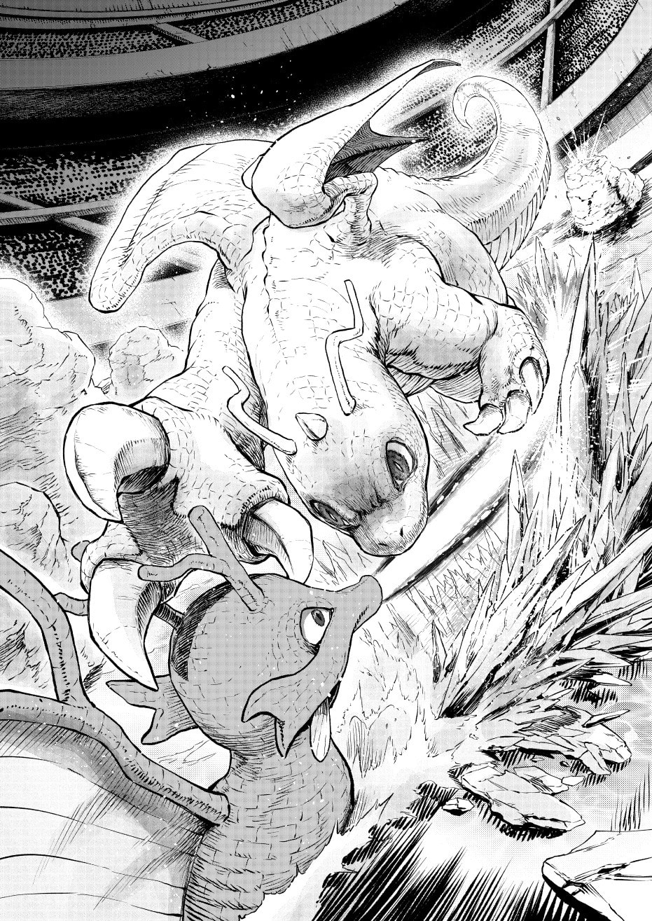 Pokemon - Festival of Champions (Doujinshi)