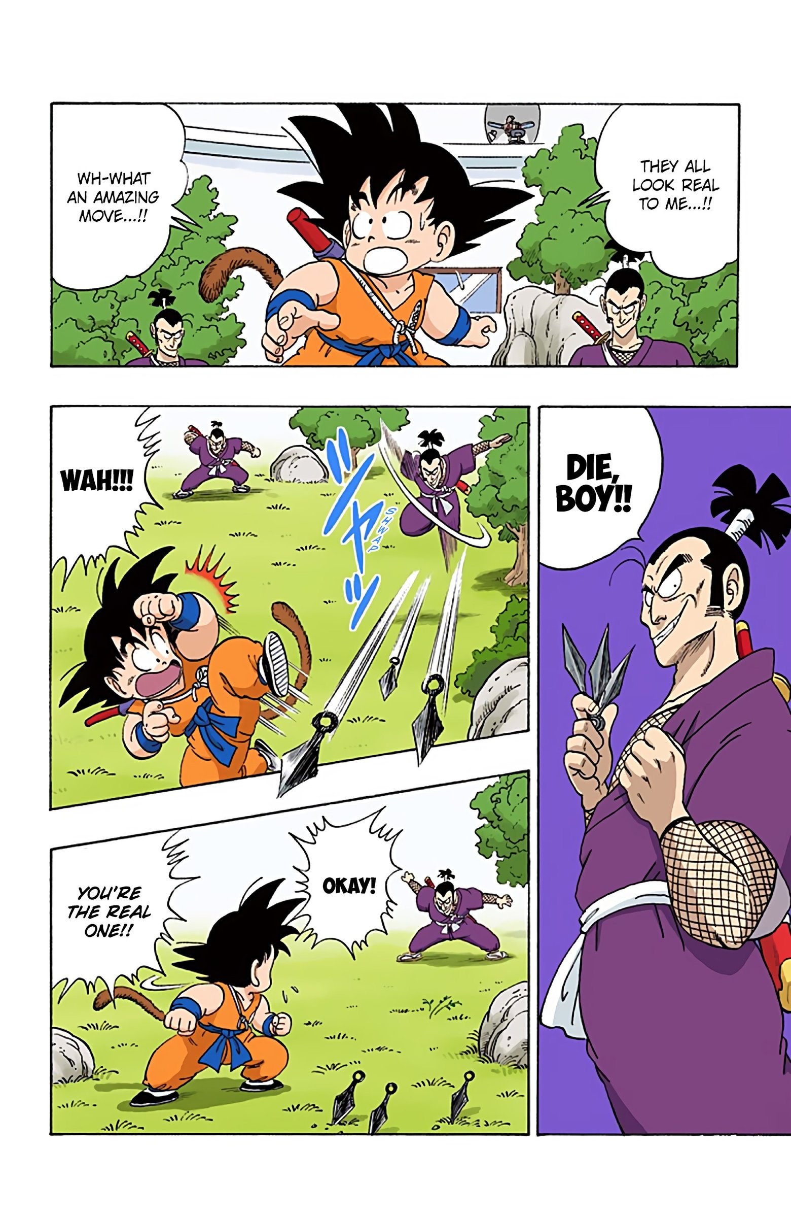 Dragon Ball Colored Manga