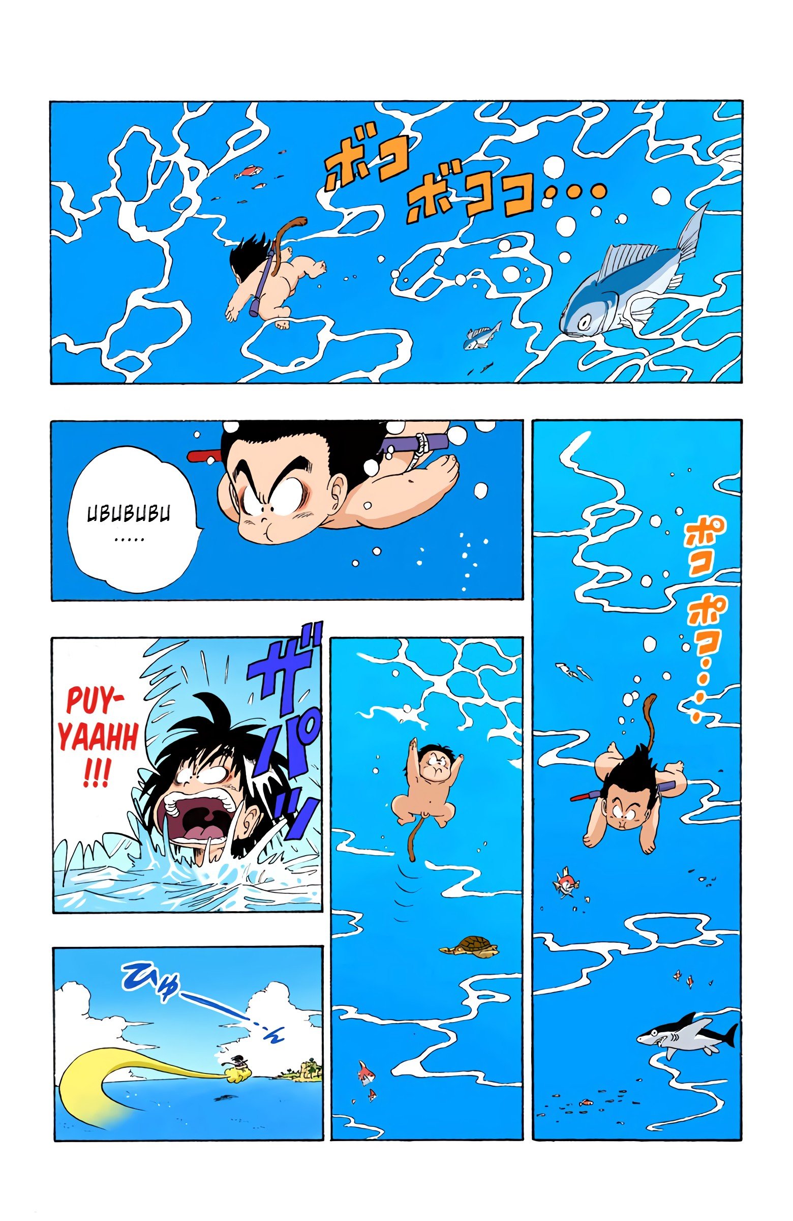 Dragon Ball Colored Manga