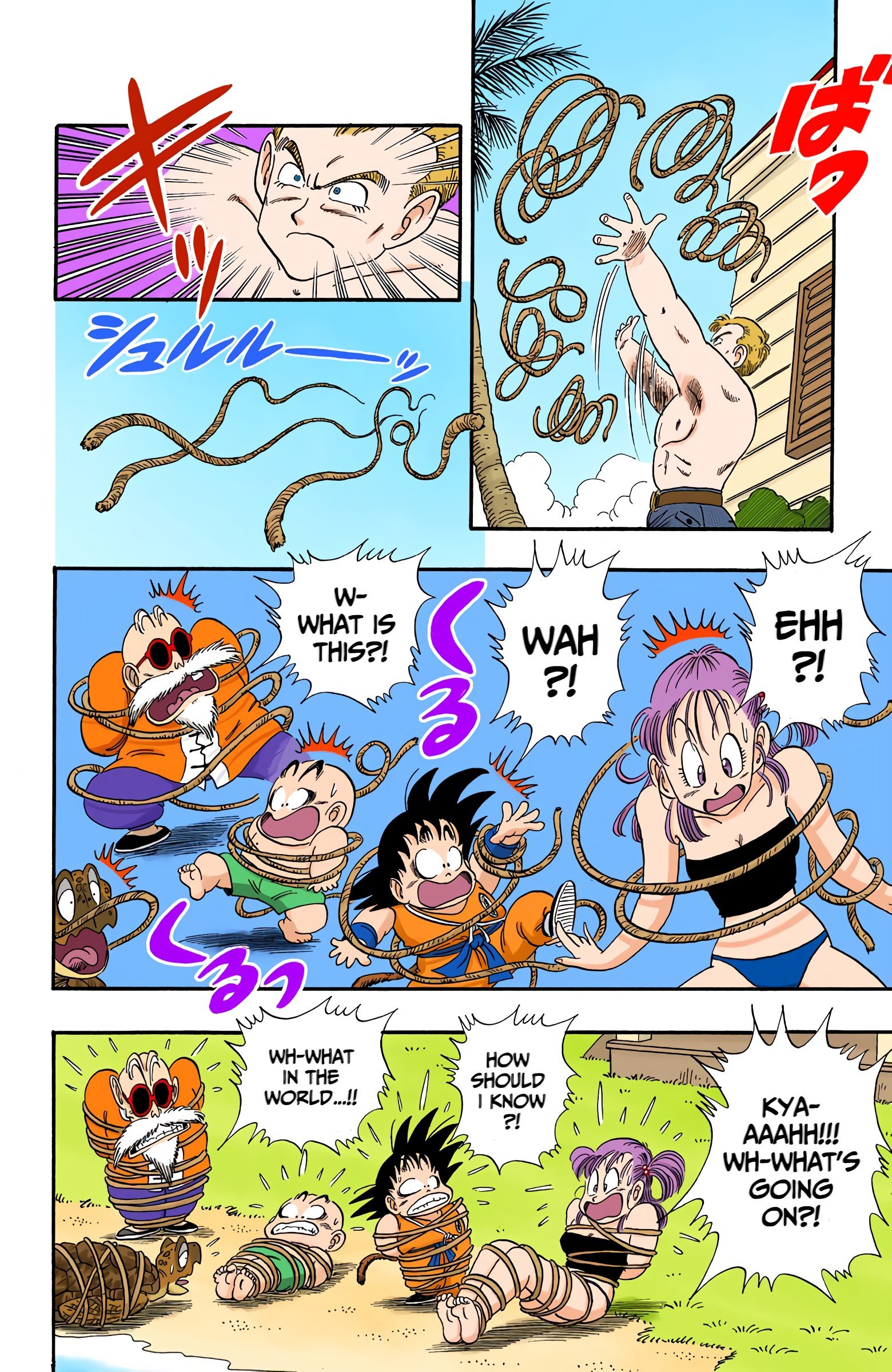 Dragon Ball Colored Manga