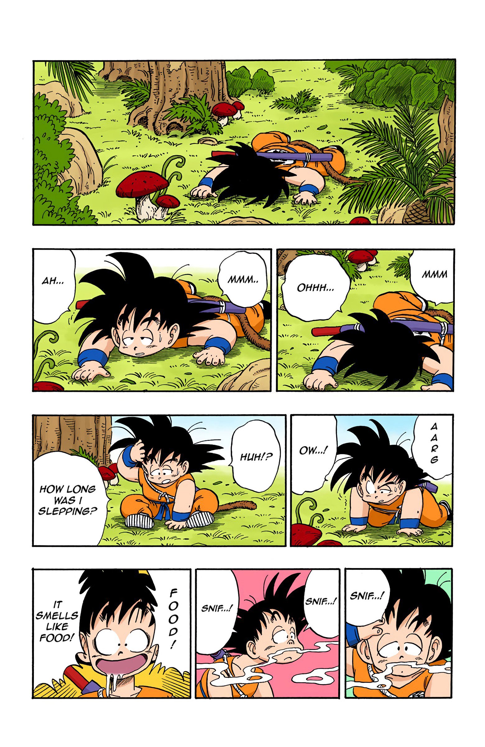 Dragon Ball Colored Manga