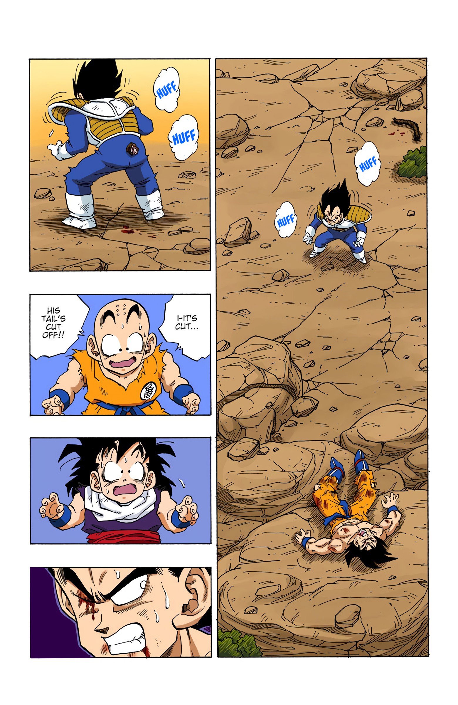 DBZ Saiyan Saga Colored Manga