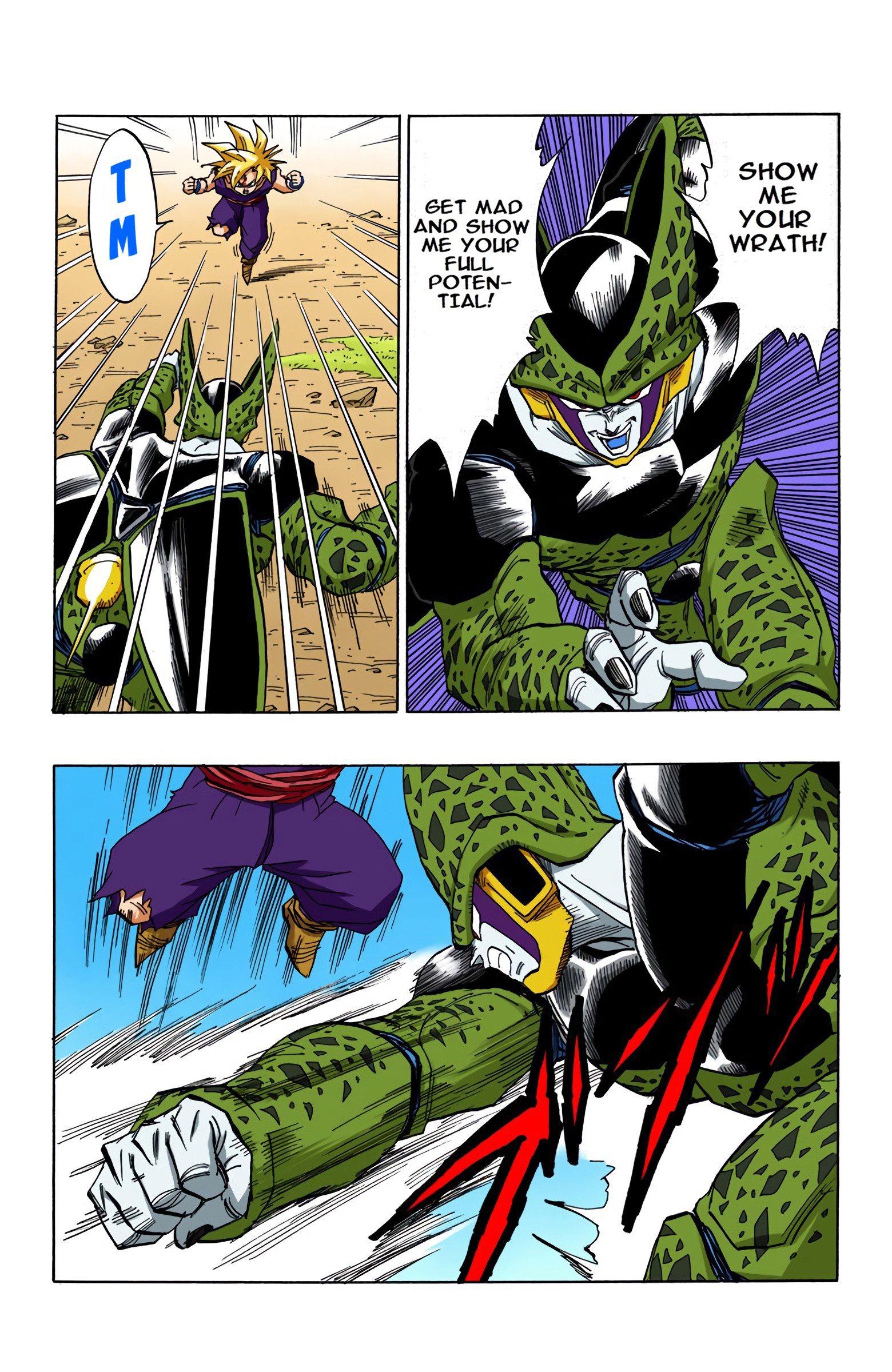 DBZ Perfect Cell Saga (Colored)