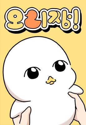 Ducks Are the Best!