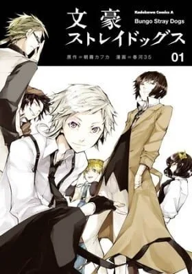Bungo Stray Dogs cover