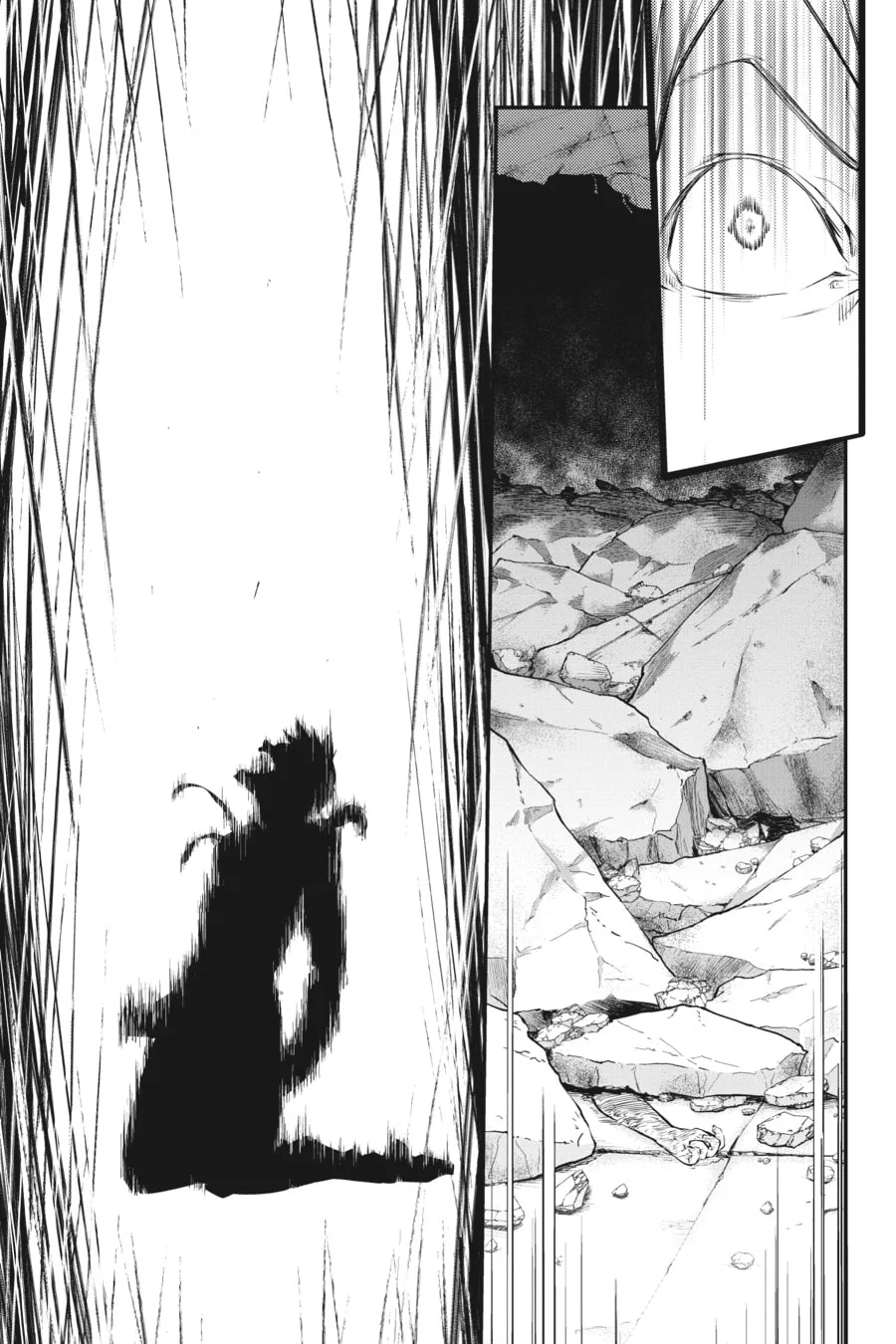 Bungo Stray Dogs, chapter 47, page 49