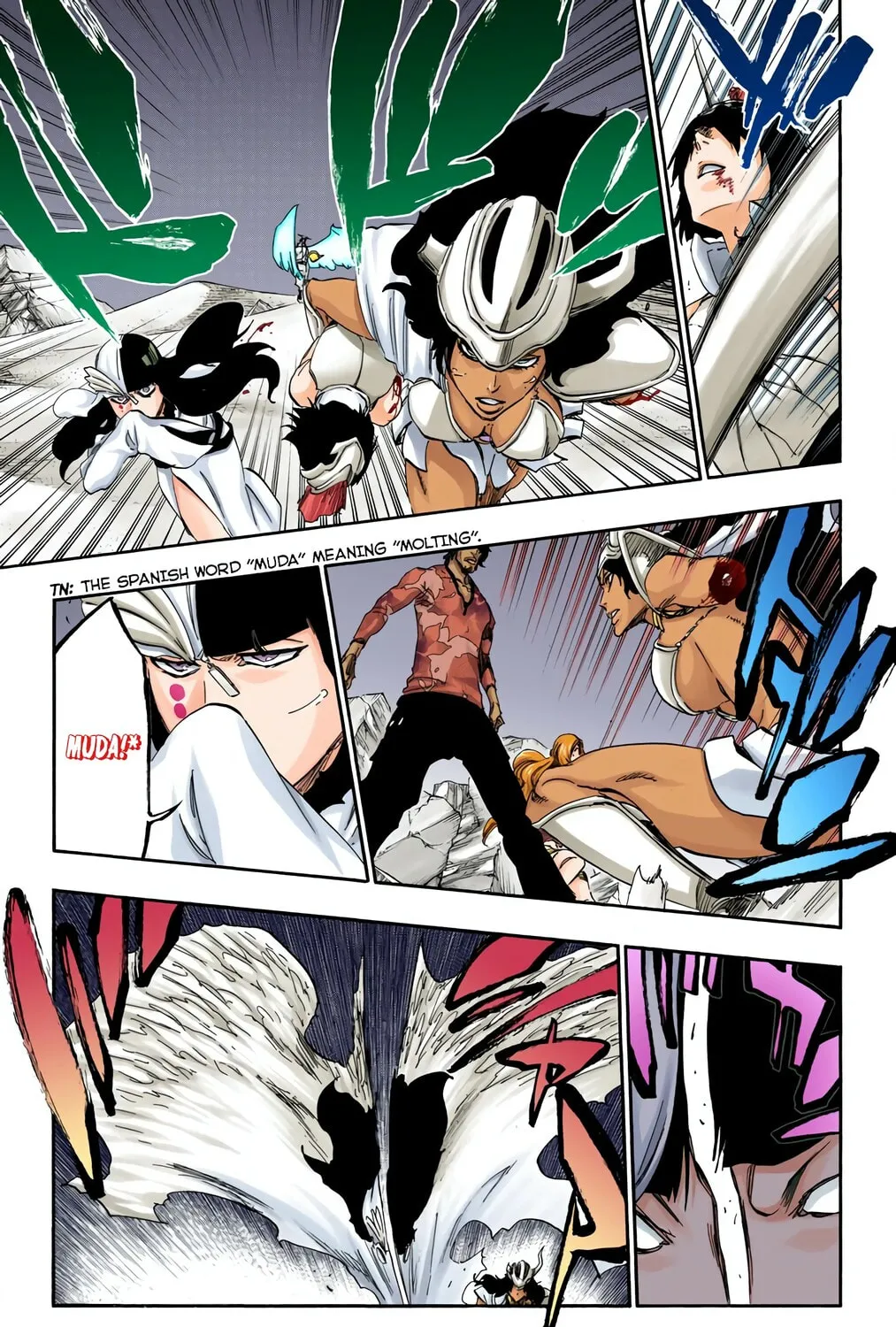 Bleach: Thousand-Year Blood War, chapter 493, page 13