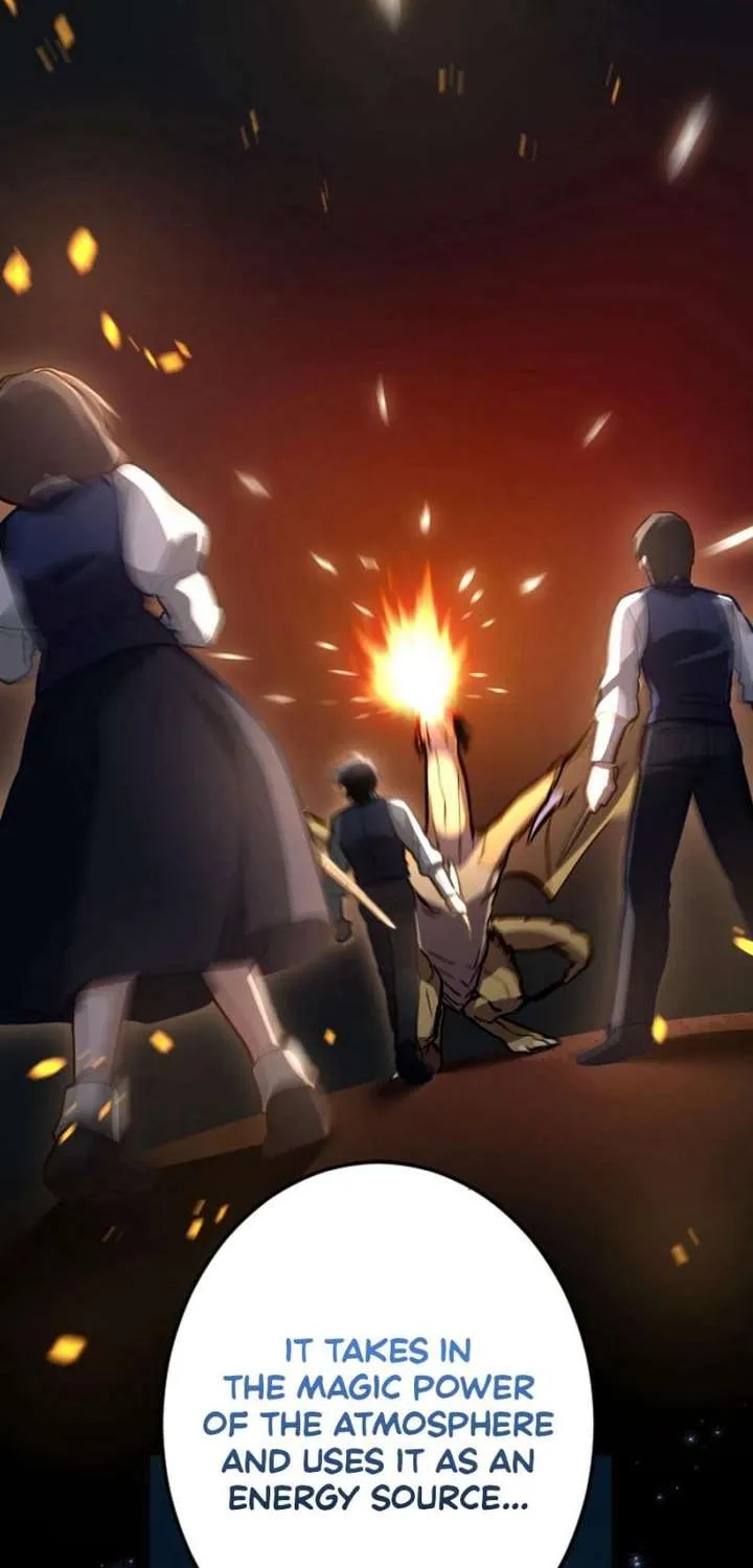 The Regressed Sword Saint’s Magic Theory, chapter 14, page 75