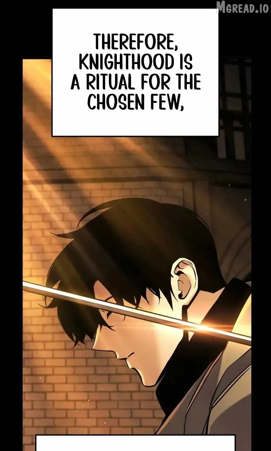 The Wandering Knight’s Survival Manual, chapter 44, page 14