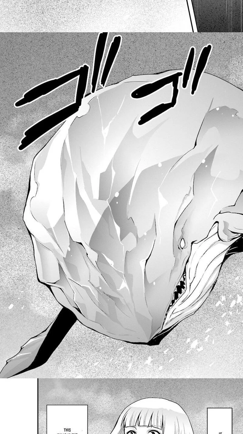 Sono Bouken-sha, Toriatsukai chuui. ~Shoutai wa Muteki no Geboku-tachi o Suberu Isekai Saikyou no Madou-ou~, chapter 4, page 21