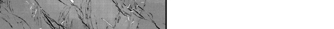 Skeleton Knight in Another World, chapter 22, page 50