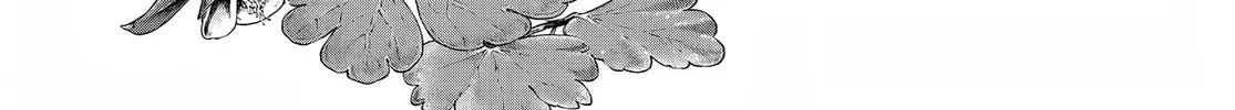 Bungo Stray Dogs, chapter 111.5, page 2