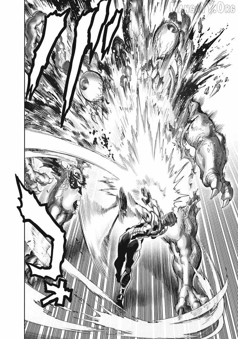 One Punch Man, chapter 225, page 3