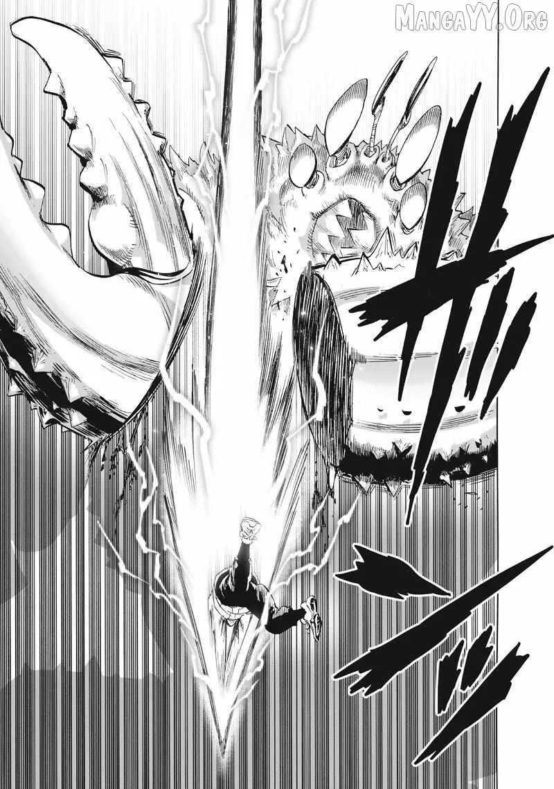One Punch Man, chapter 225, page 12