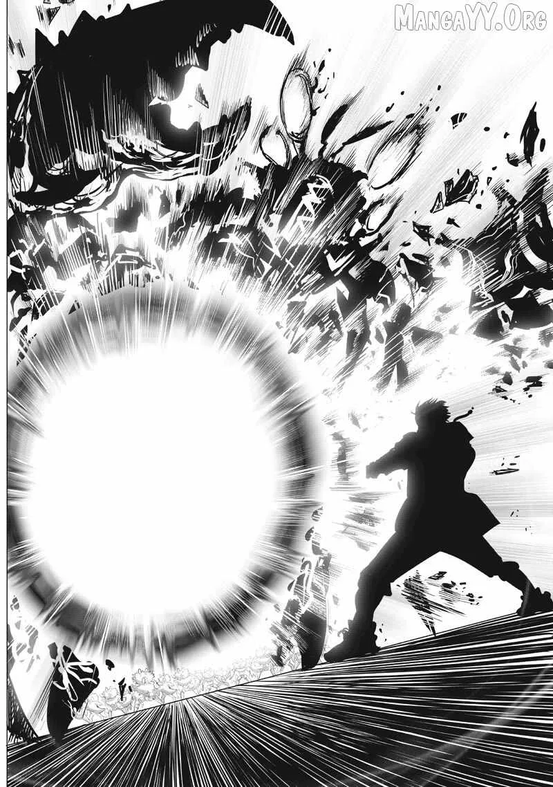 One Punch Man, chapter 225, page 15