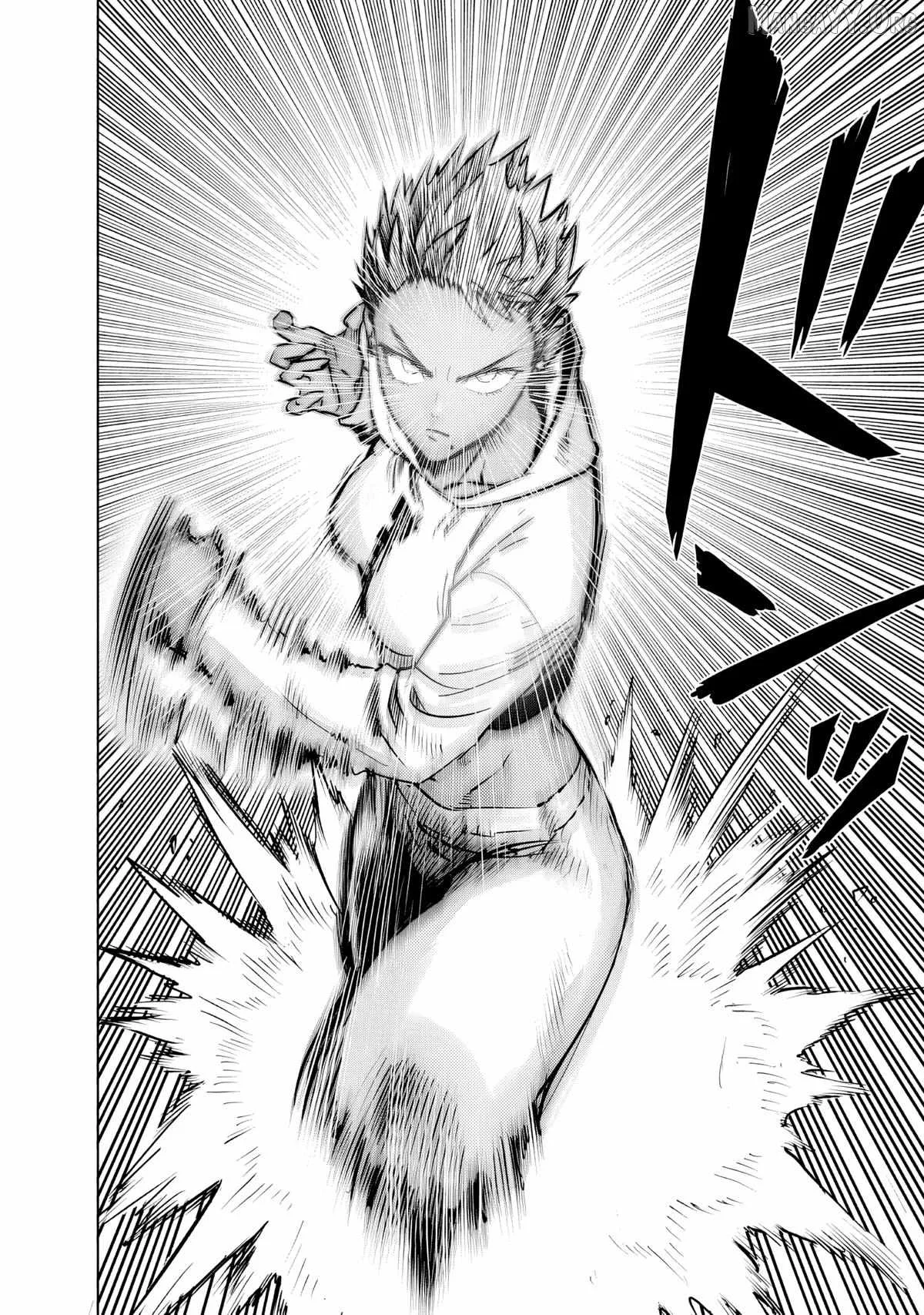 One Punch Man, chapter 227, page 4