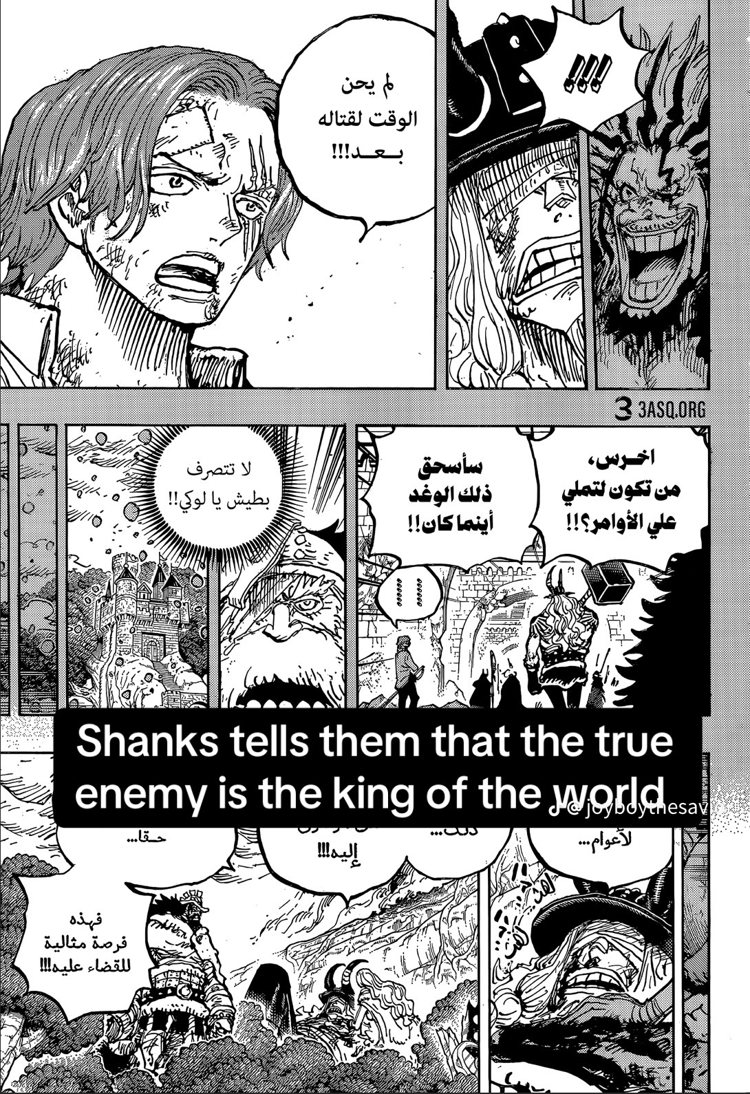 One Piece Manga, chapter 1189 RAW, page 13