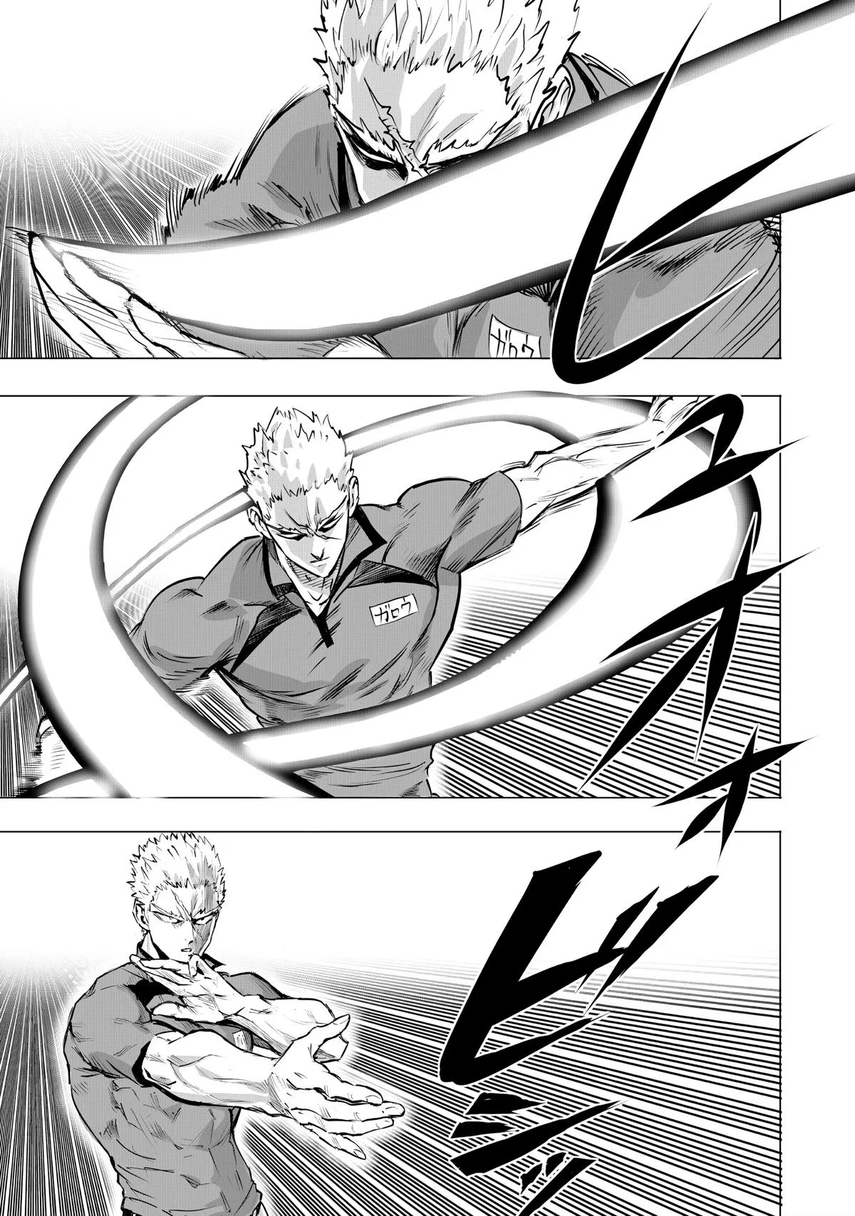 One Punch Man, chapter 236, page 13