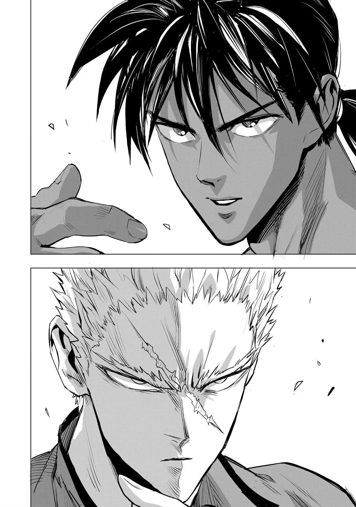 One Punch Man, chapter 236, page 14