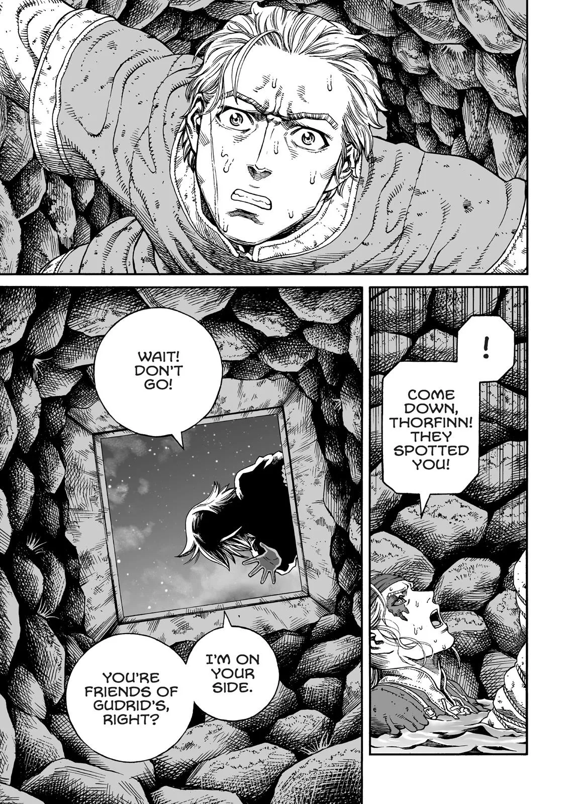 Vinland Saga, chapter 146, page 5