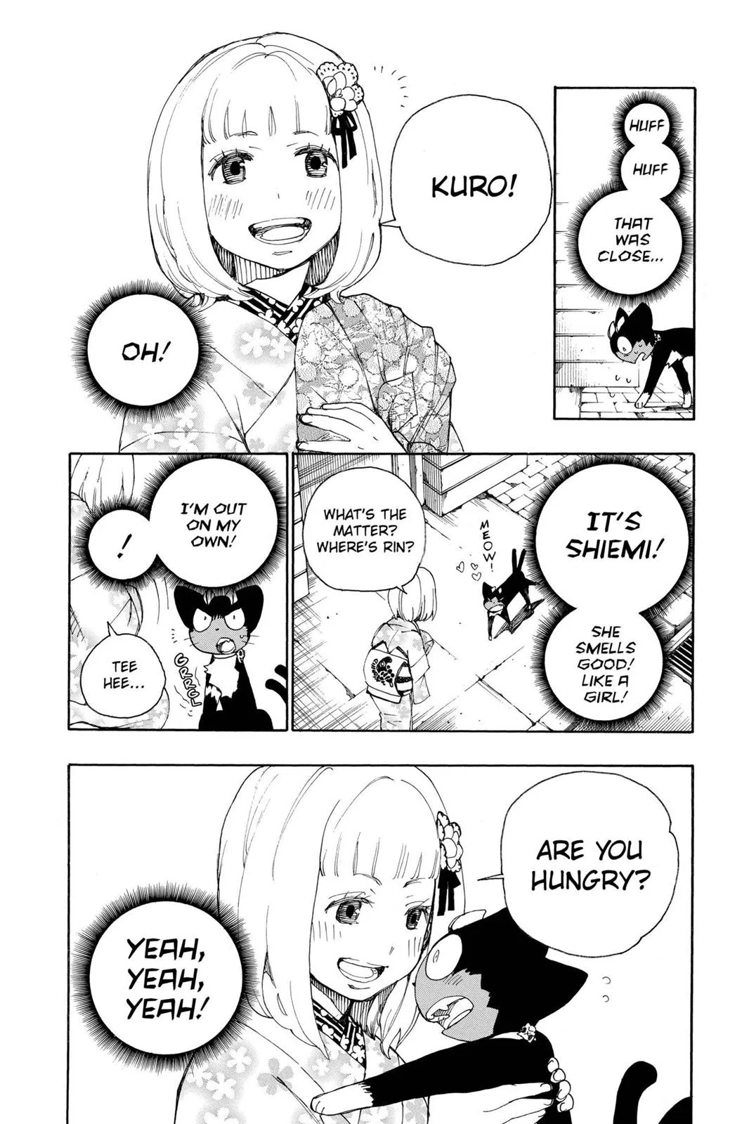 Blue Exorcist, chapter 23.6, page 12