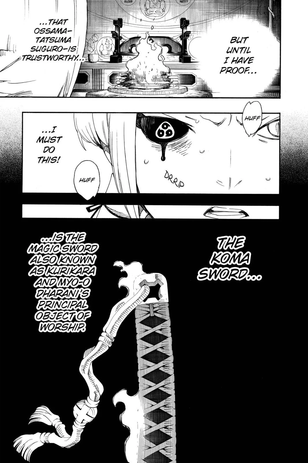 Blue Exorcist, chapter 24, page 17