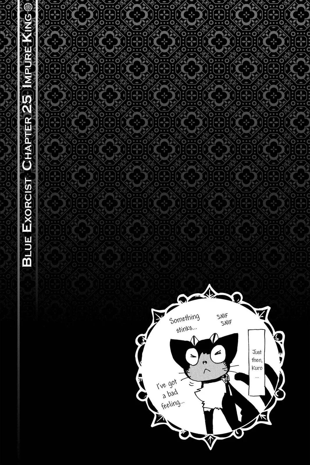 Blue Exorcist, chapter 25, page 41