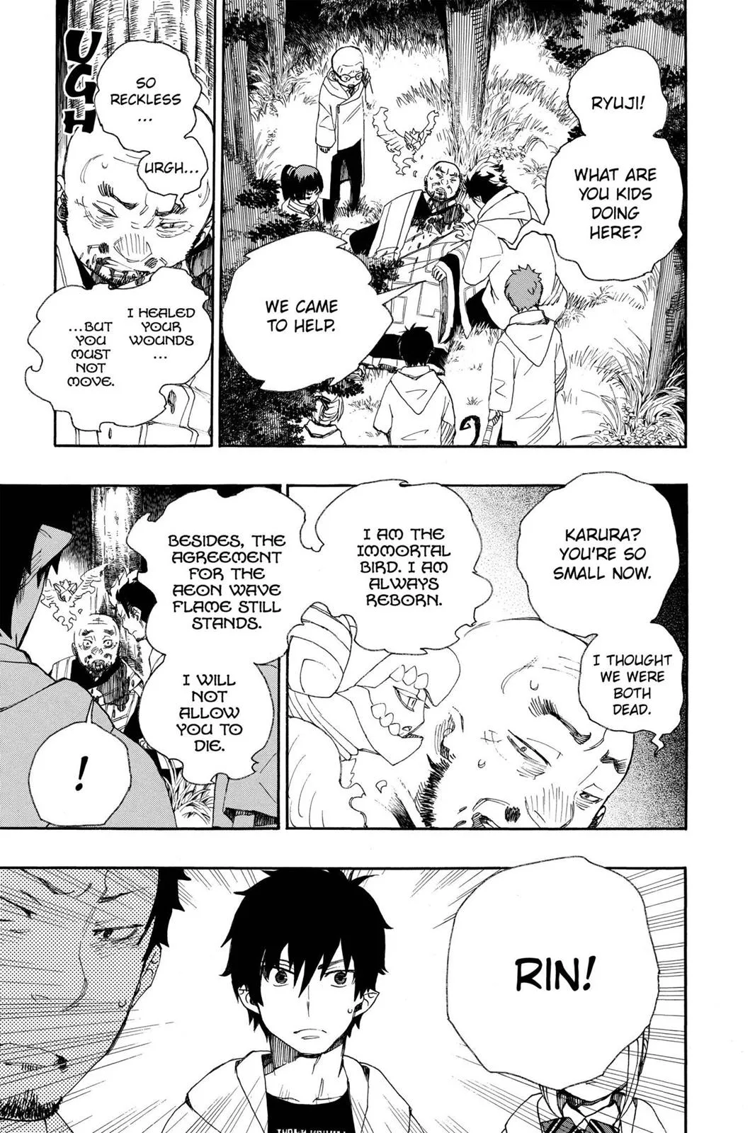 Blue Exorcist, chapter 27, page 14