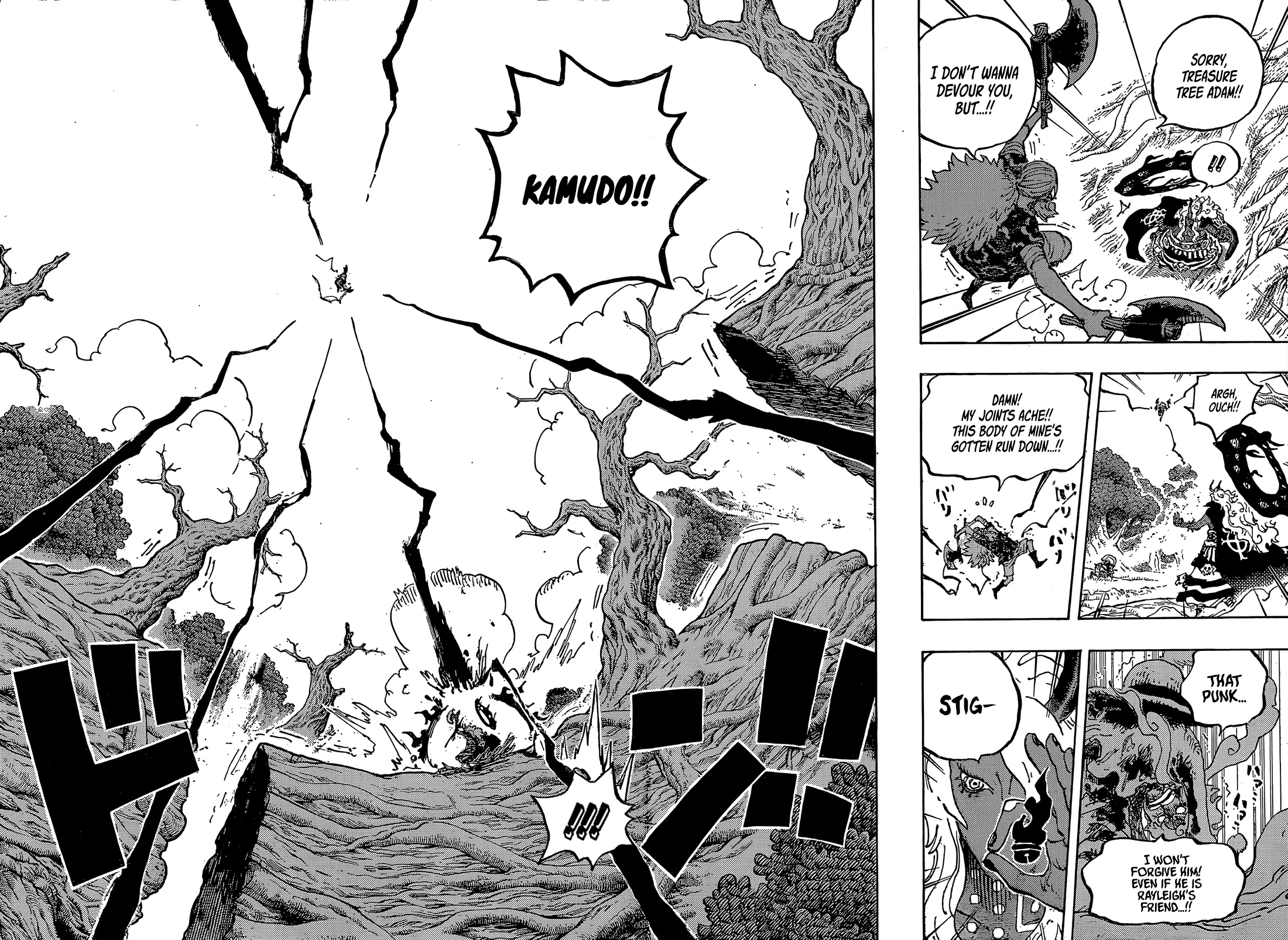 One Piece Manga, chapter 1190, page 12