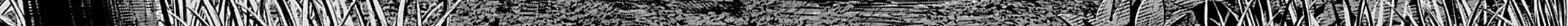 Record of Ragnarok: The Jack the Ripper Case Files, chapter 57, page 54