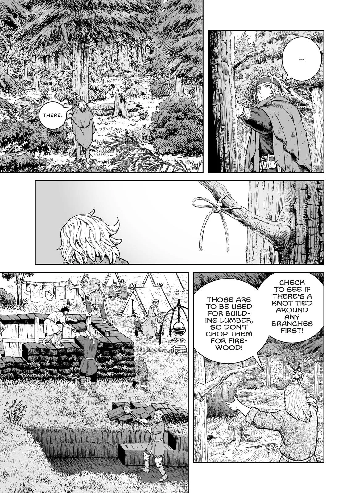Vinland Saga, chapter 181, page 3