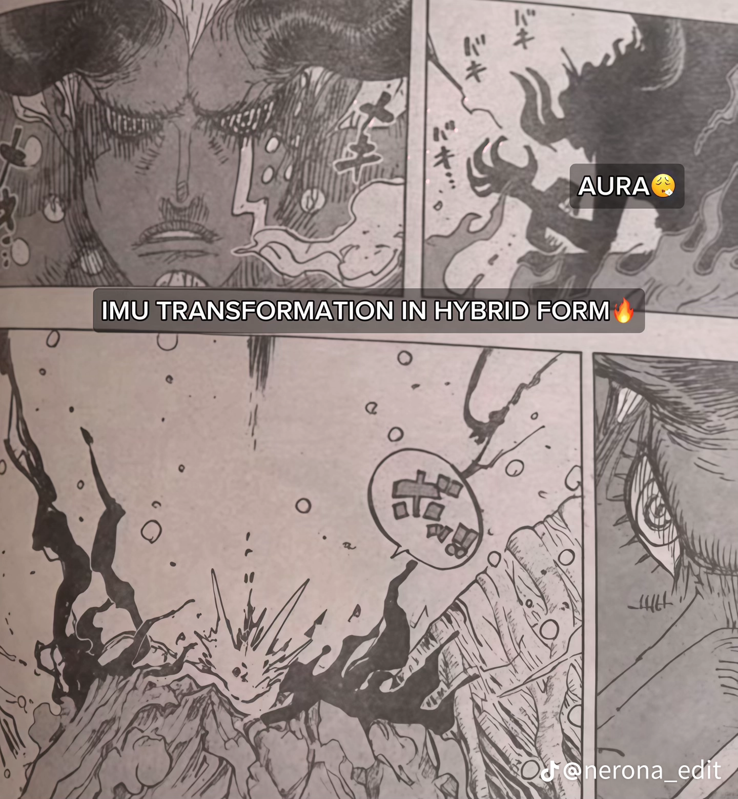 One Piece Manga, chapter 1191 RAW, page 2