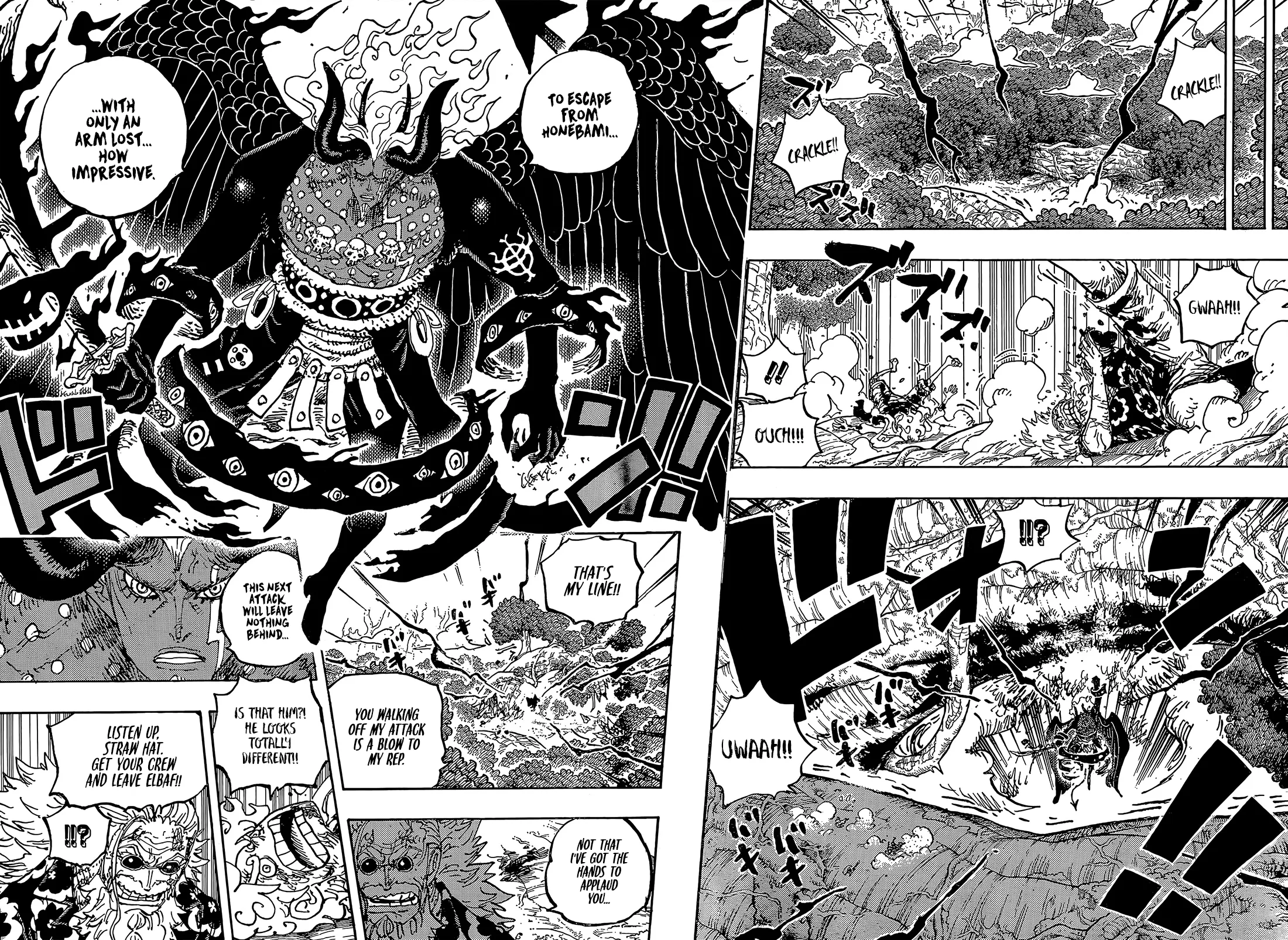 One Piece Manga, chapter 1191, page 11