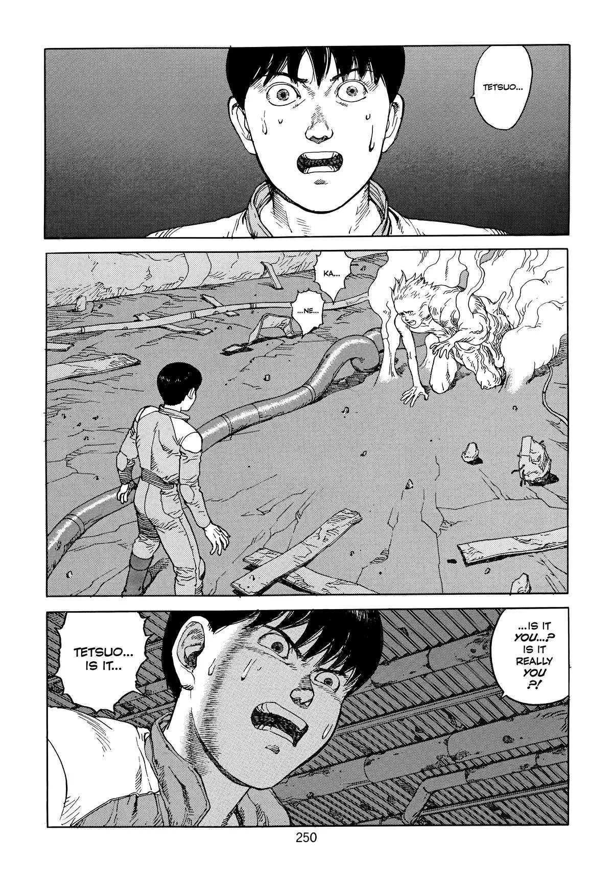 Akira, chapter Vol 6, page 252