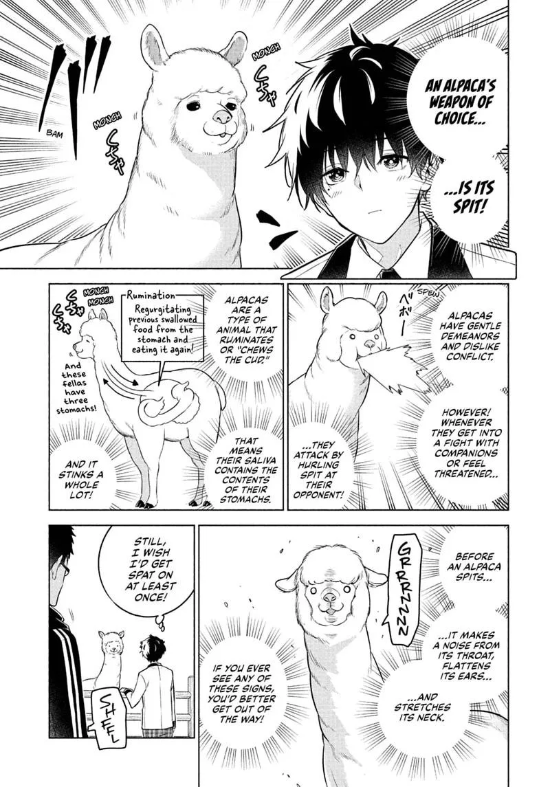 Animal Signal, chapter 13, page 3
