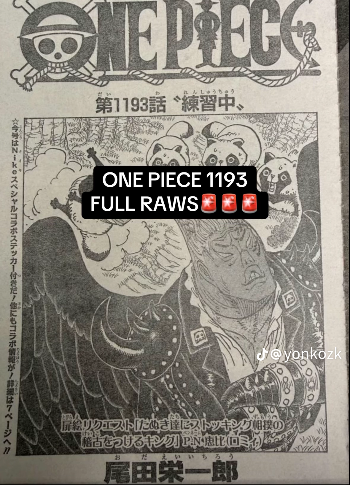 One Piece Manga, chapter 1193 RAW, page 1